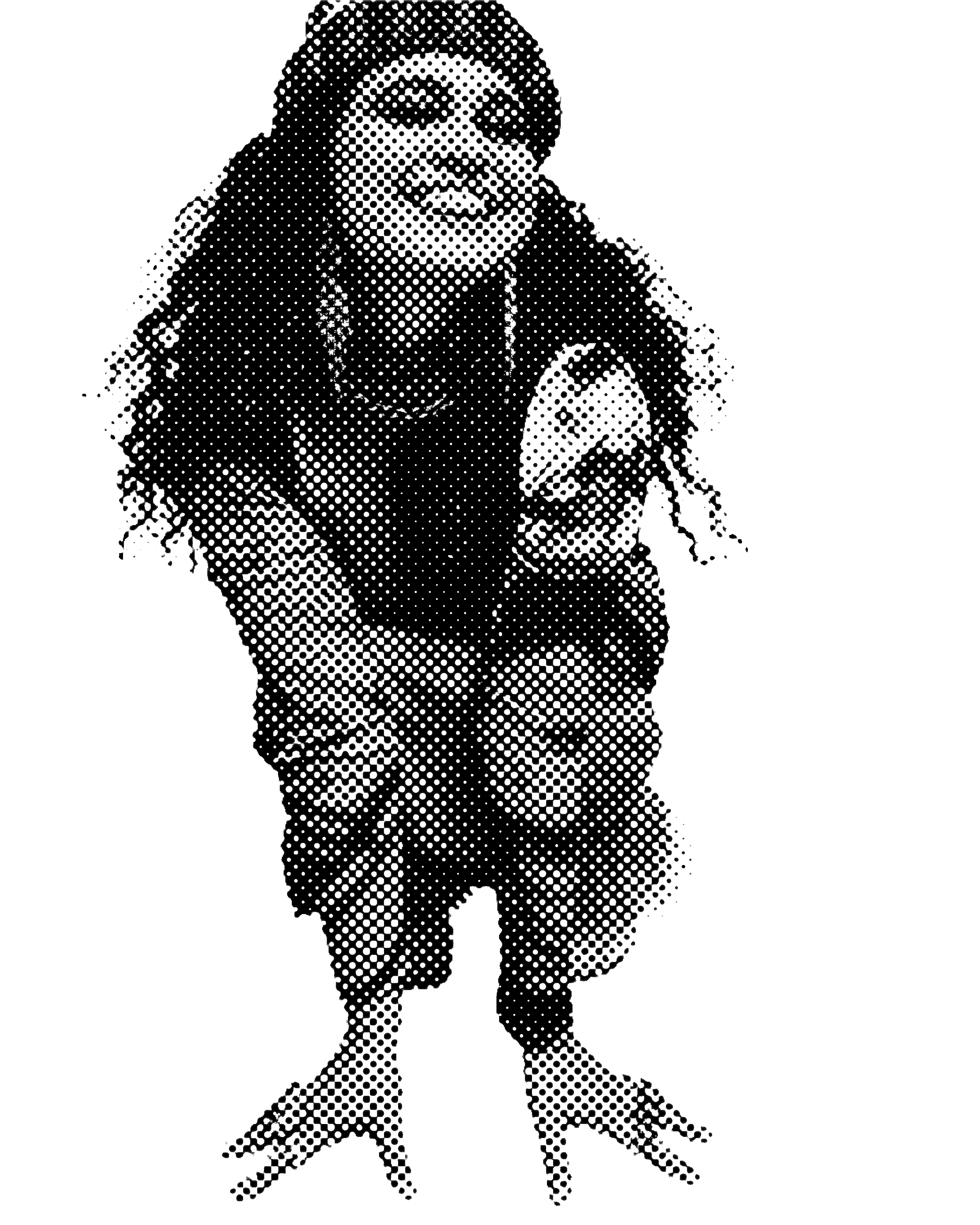Remi Wolf · halftone